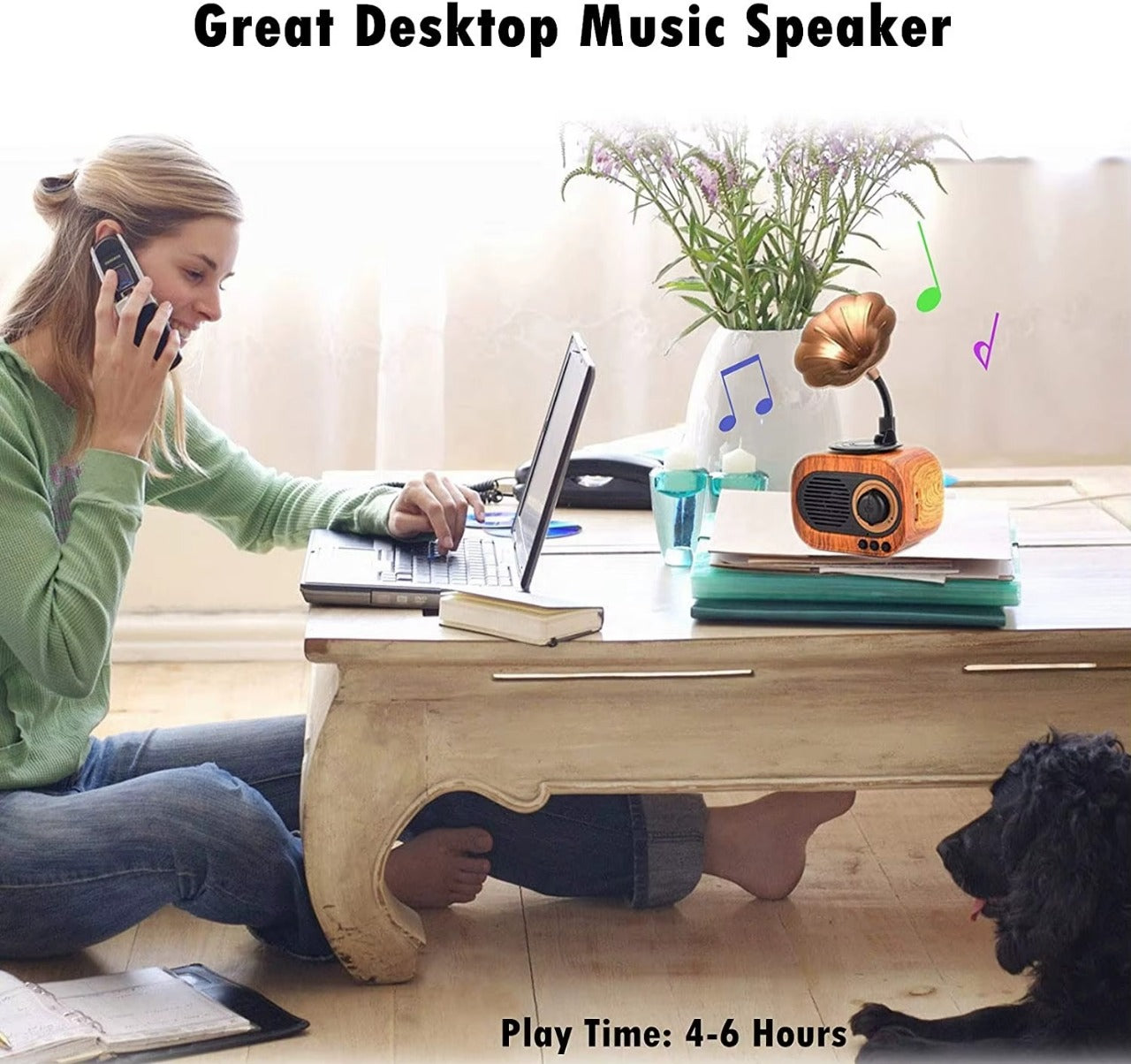 Vintage Phonograph Radio Speaker