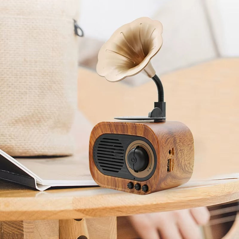 Vintage Phonograph Radio Speaker
