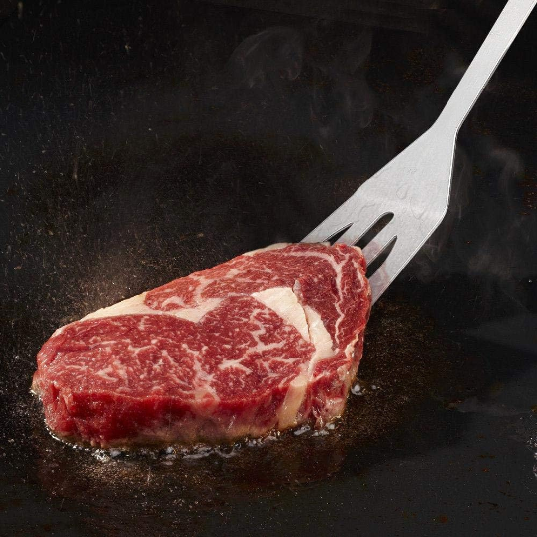 BBQ Grill Tool Set 5-Piece Stainless Steel with Carry Case