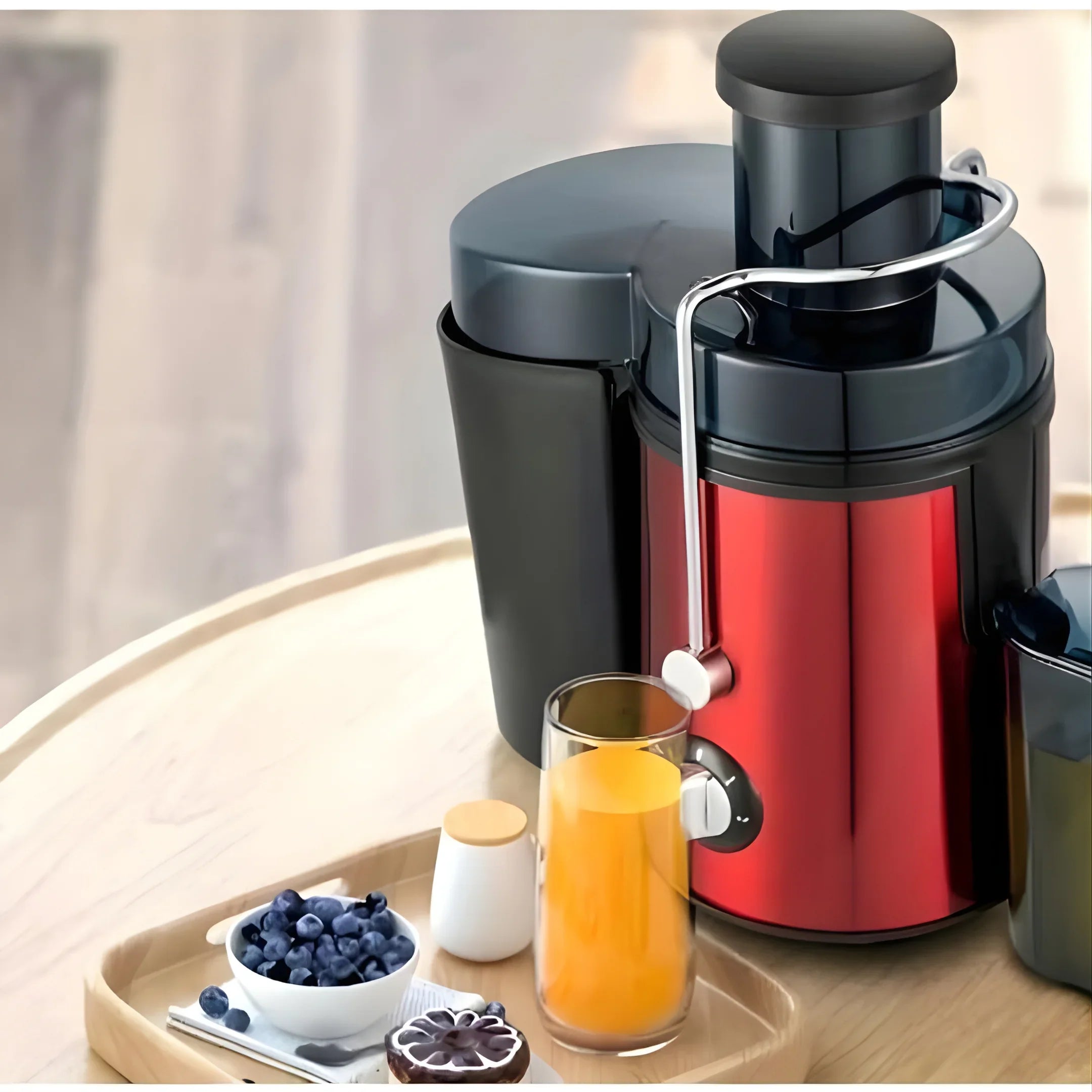 Stainless Steel 800W Dual-Speed Centrifugal Juicer Extractor