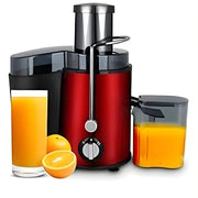 Stainless Steel 800W Dual-Speed Centrifugal Juicer Extractor
